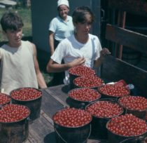 Image courtesy of the Wisconsin Historical Society. Image ID: 129351.