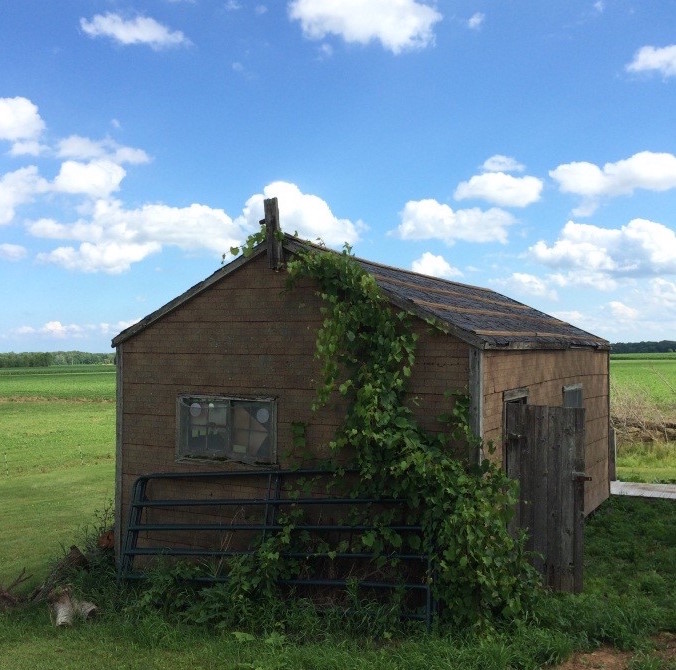 Read more about the article OBJECT HISTORY: Migrant Worker’s Cabin