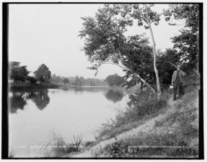 a black and white photo of a birch tree beside a placid river