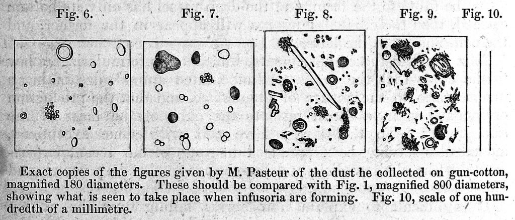 An illustration from the files of Louis Pasteur showing his theories of atmospheric germs as observed in gun-cotton.