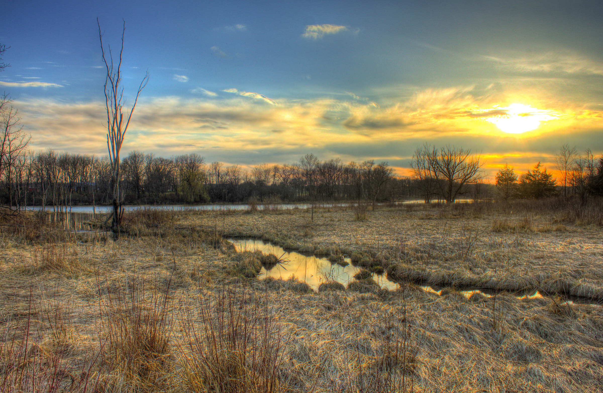 A color photo of Lake Koshkonong at sunset with marsh land in the foreground