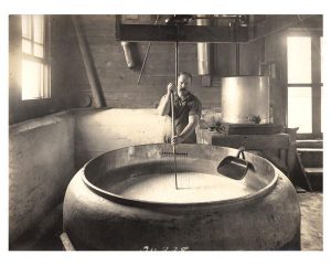 A man cutting curd in a cheese factory