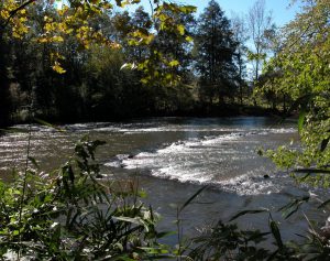 an image of a triangle shaped fishing weir in a river