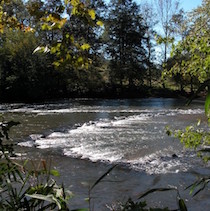 detail of fishing weir